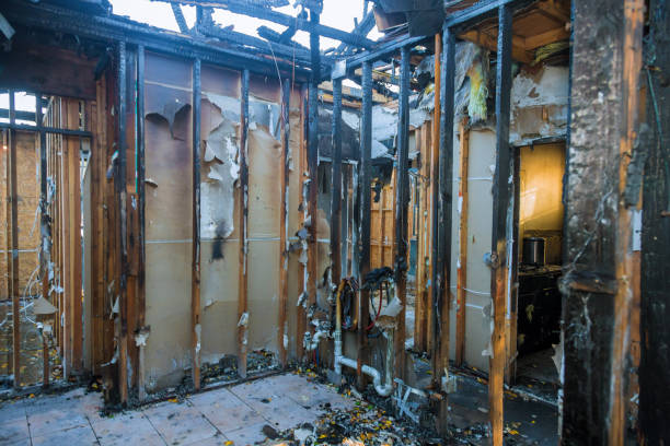 Professional Fire Damage Removal technician working in Harbor, OR